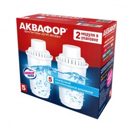Сменный модуль В5 (В100-5) защита от бактерий (комплект из 2-х штук) в Хабаровске